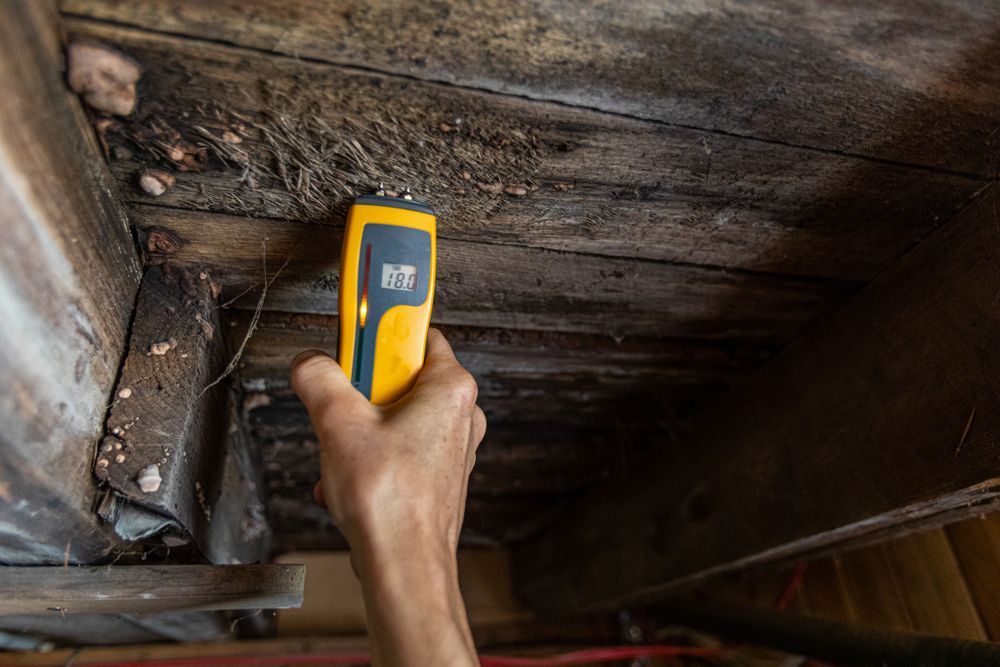 Hand holding a yellow infrared thermometer measuring a dark wooden beam with signs of moisture damage