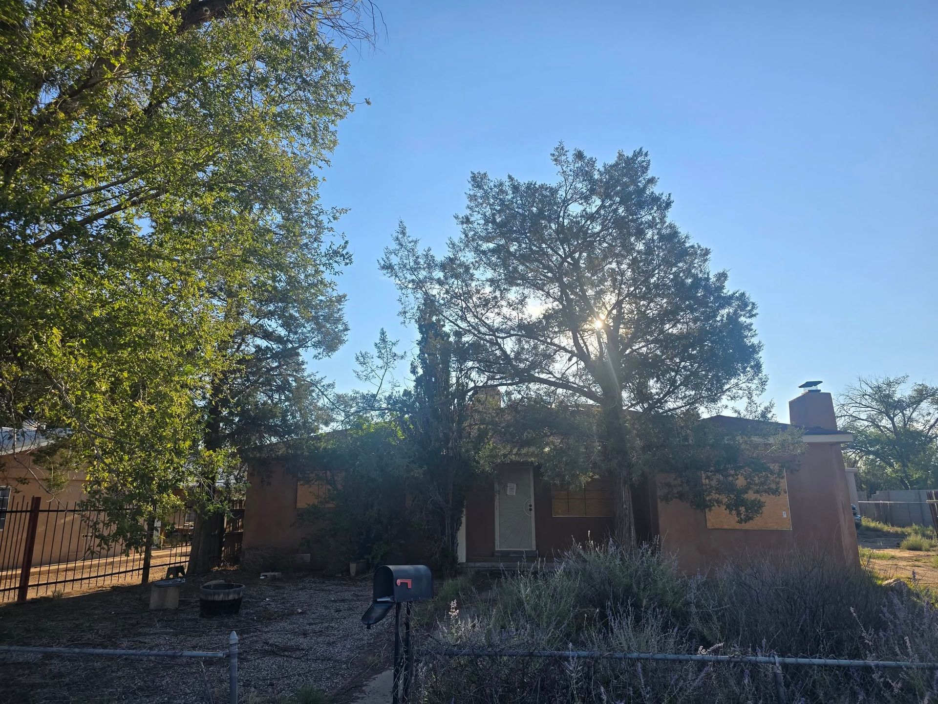 Sunlit brick building behind trees with a small sign and flower bed in front