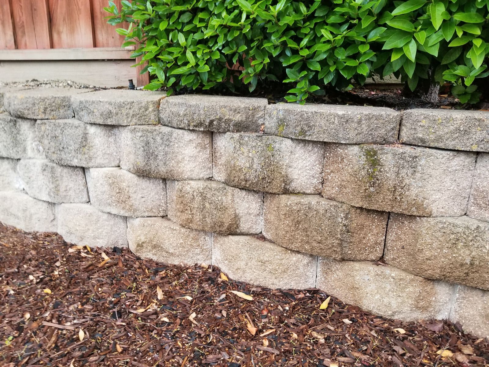 Stone retaining wall beneath green hedge with mulch bed in front