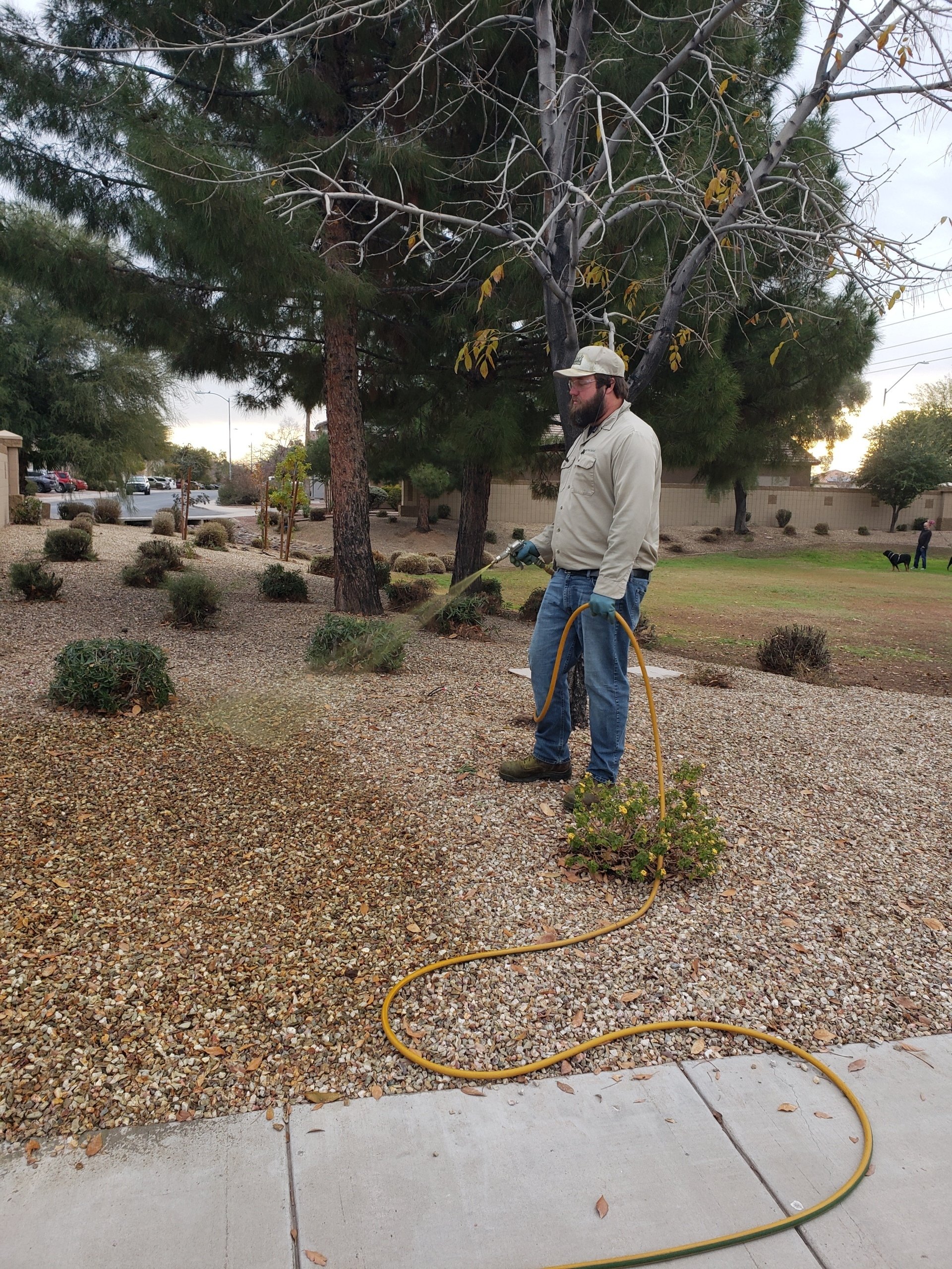 Weed Spraying Services in Mesa, AZ