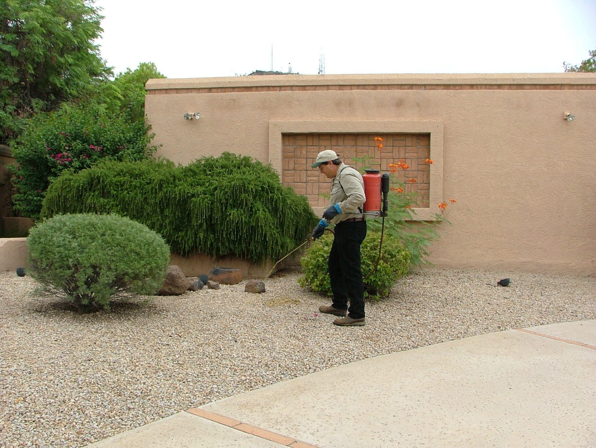 Weed Control Services in Chandler AZ