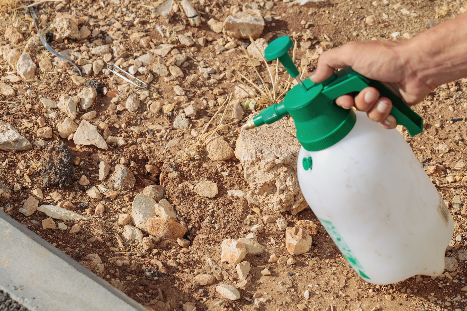 Hand holding a green and white pump sprayer over dry, rocky soil with sparse weeds.