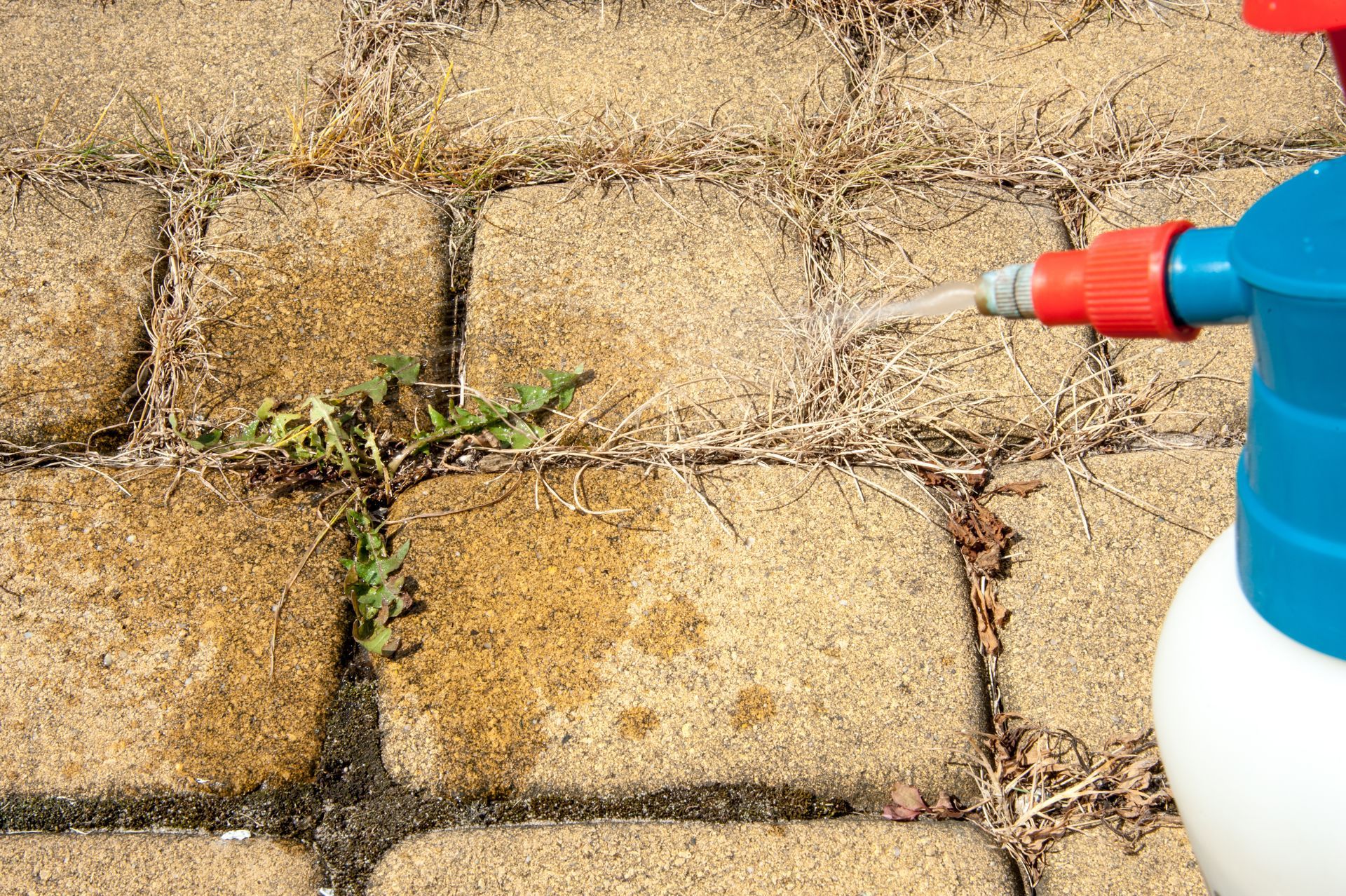 Desert Weed Services 