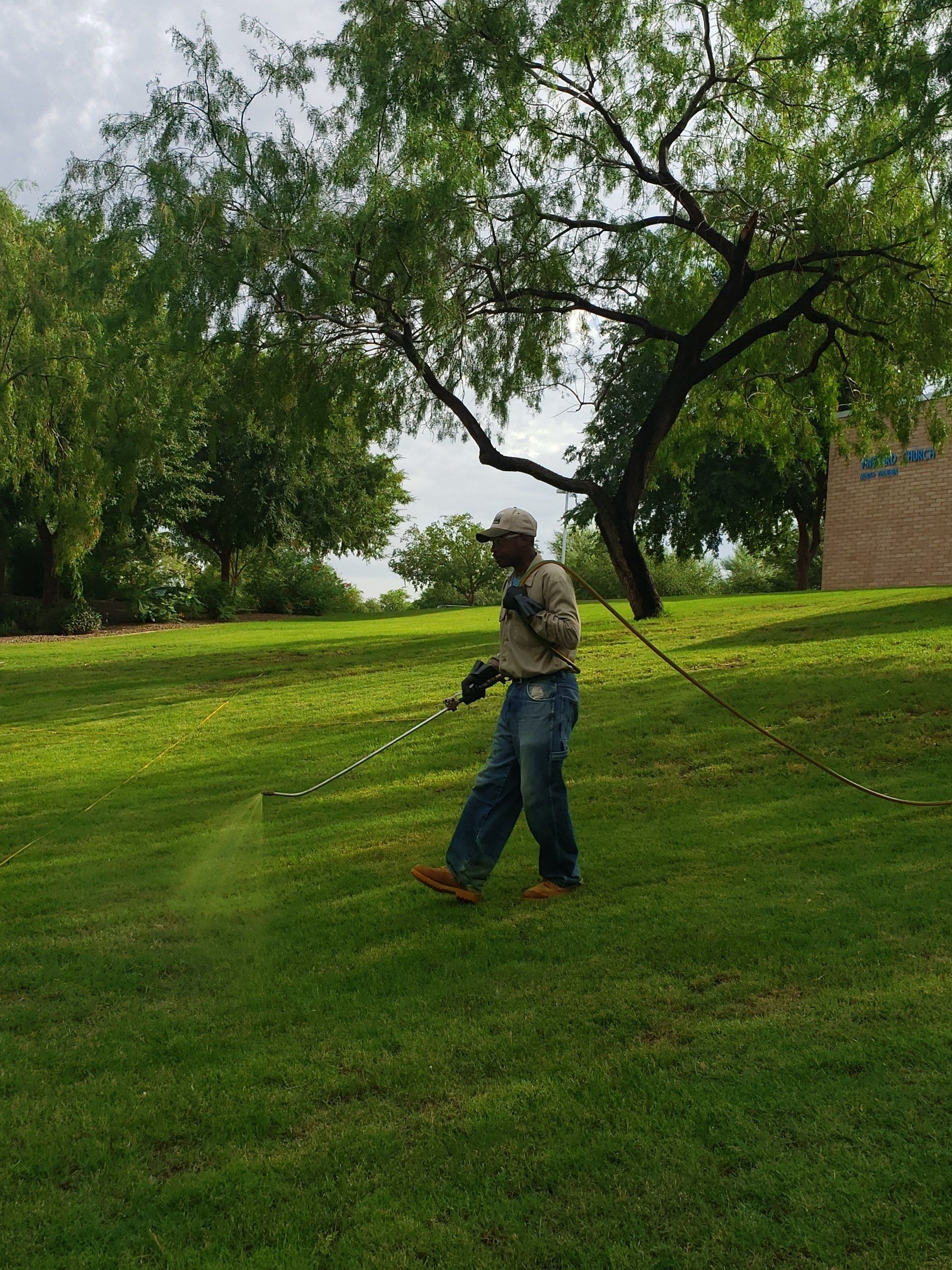 Pre-emergent Herbicide Spraying Scottsdale, AZ