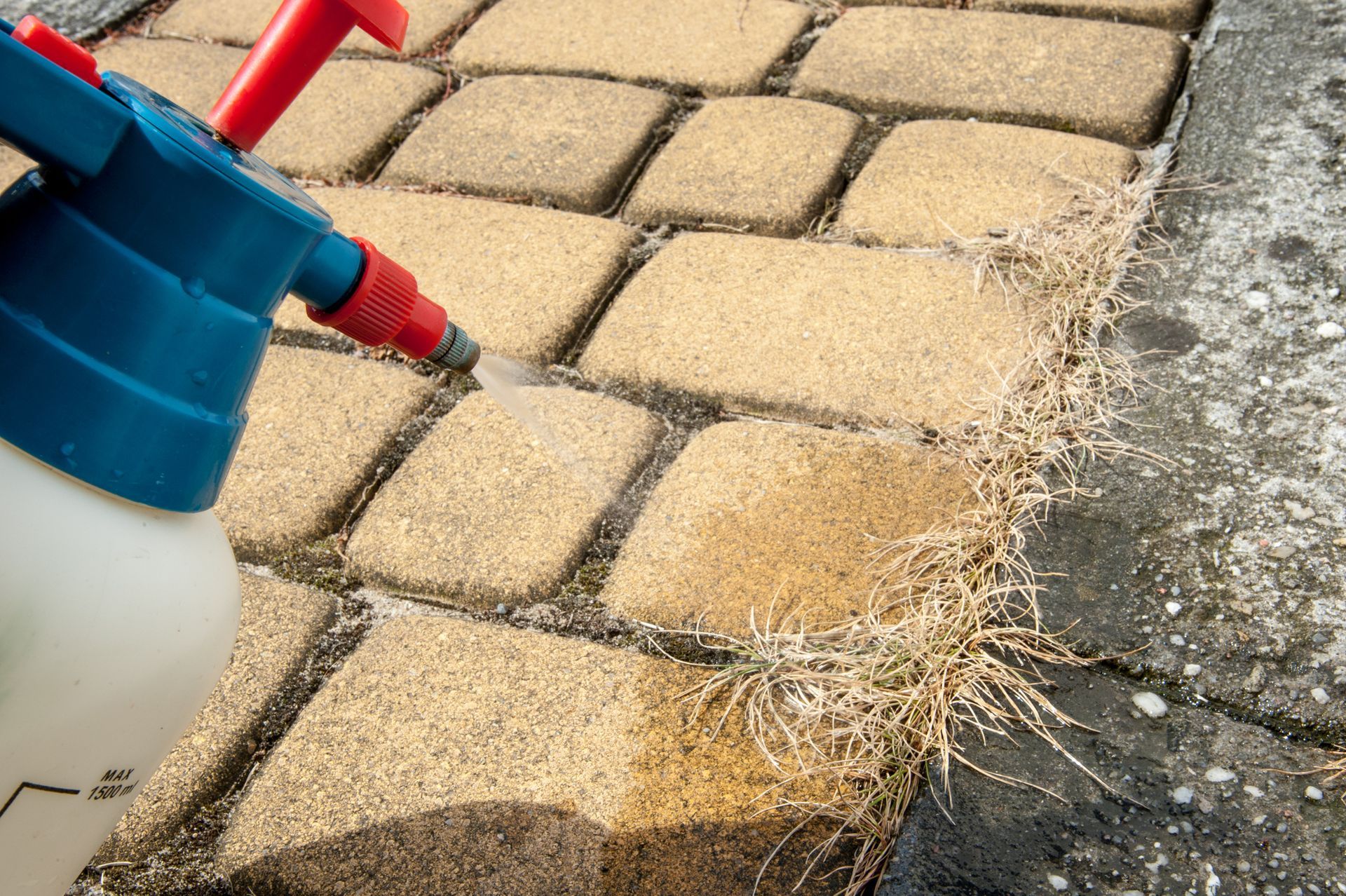 Weed control expert treating brick patio pavers to eliminate unwanted weeds. Weed control expert treating brick patio pavers to eliminate unwanted weeds.