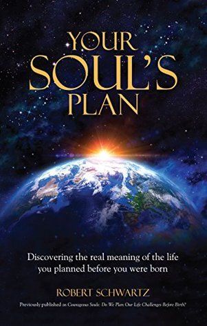 The cover of a book titled your soul 's plan.