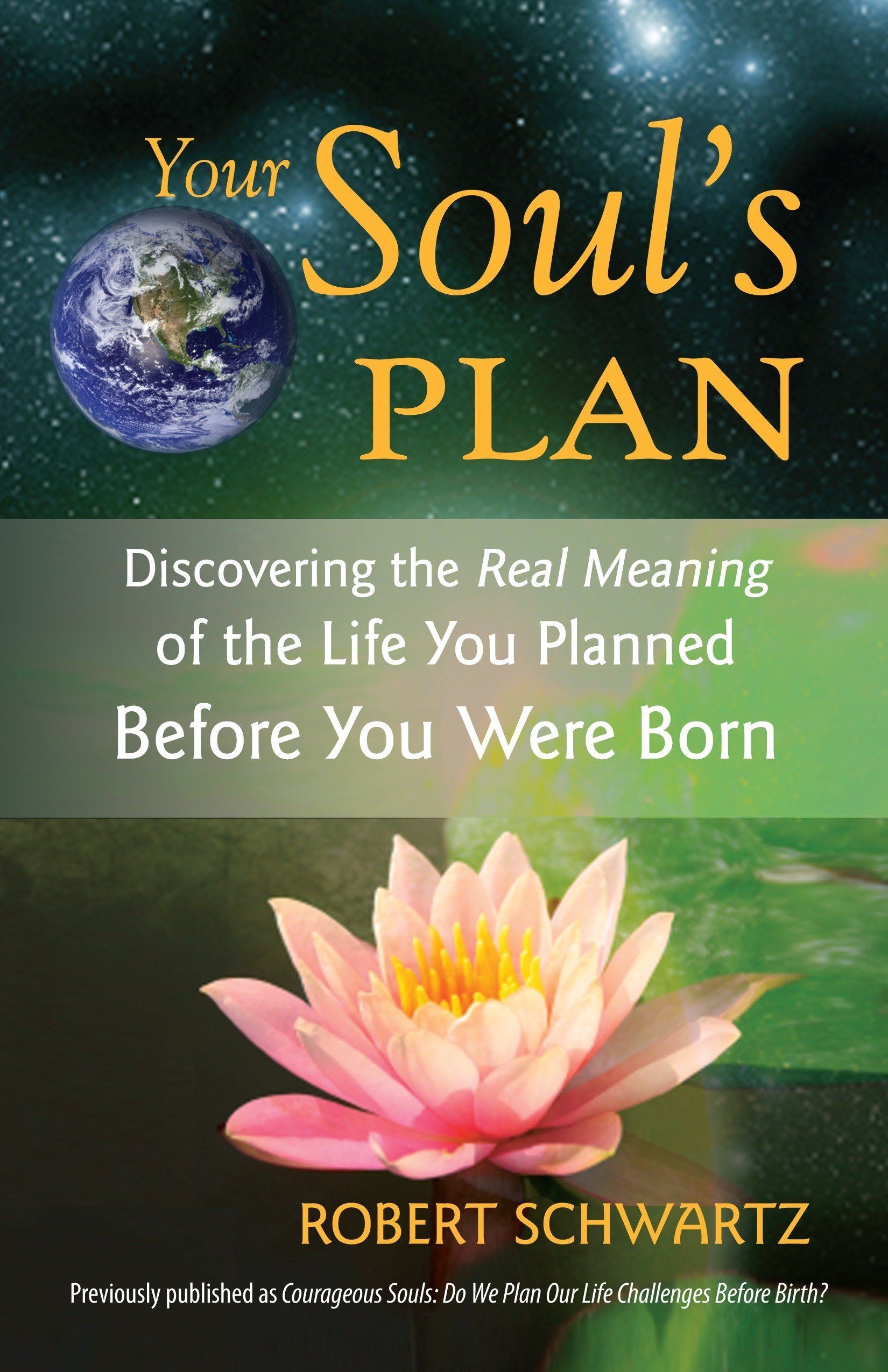 The cover of a book titled your soul 's plan