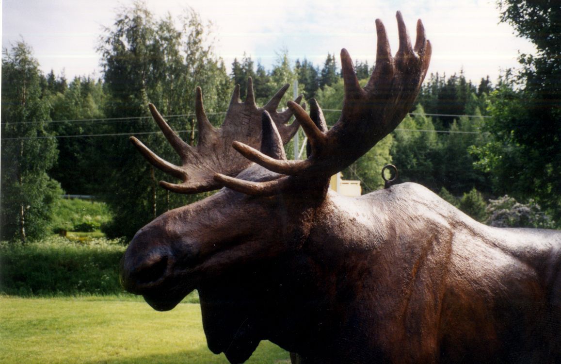 realistisk skulptur av älg med maffig krona som Jörgen Westin skapade i trä tillsammans med sin pappa
