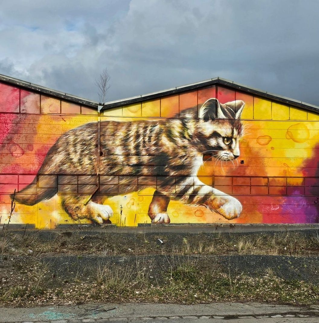 Kattunge på industi-/lagerbyggnad