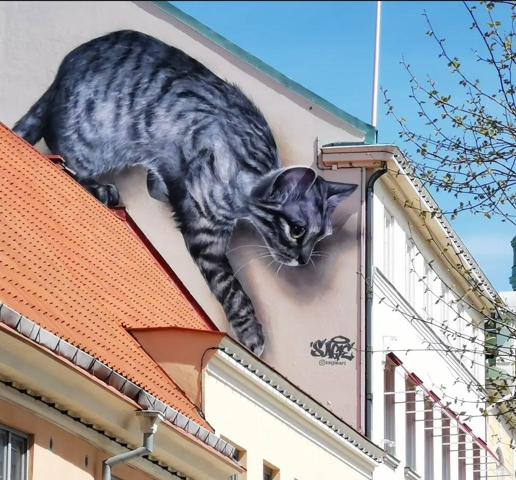 smygande katt på husgavel