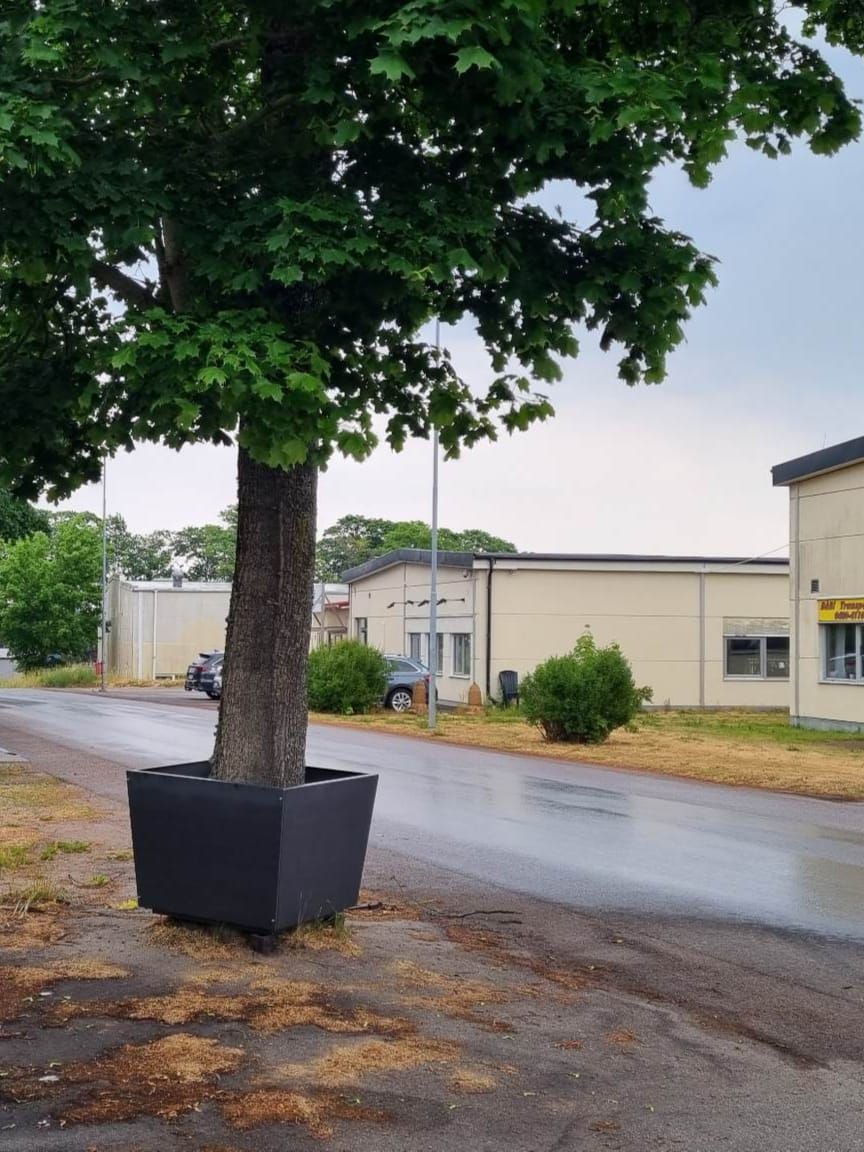 skulpturen 'Wonderplanter' med sluttande sidor, Tom Lönnevik