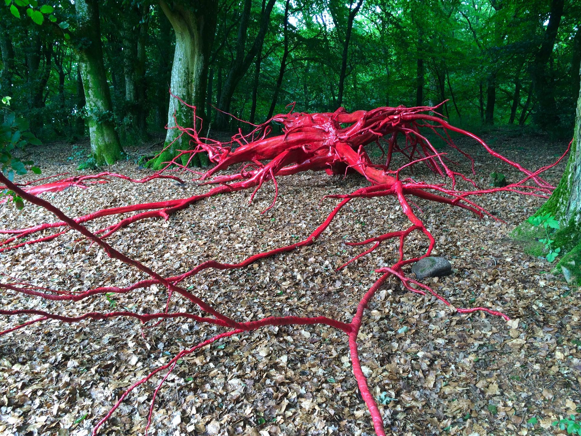 konstinstallation av Ida Bentinger