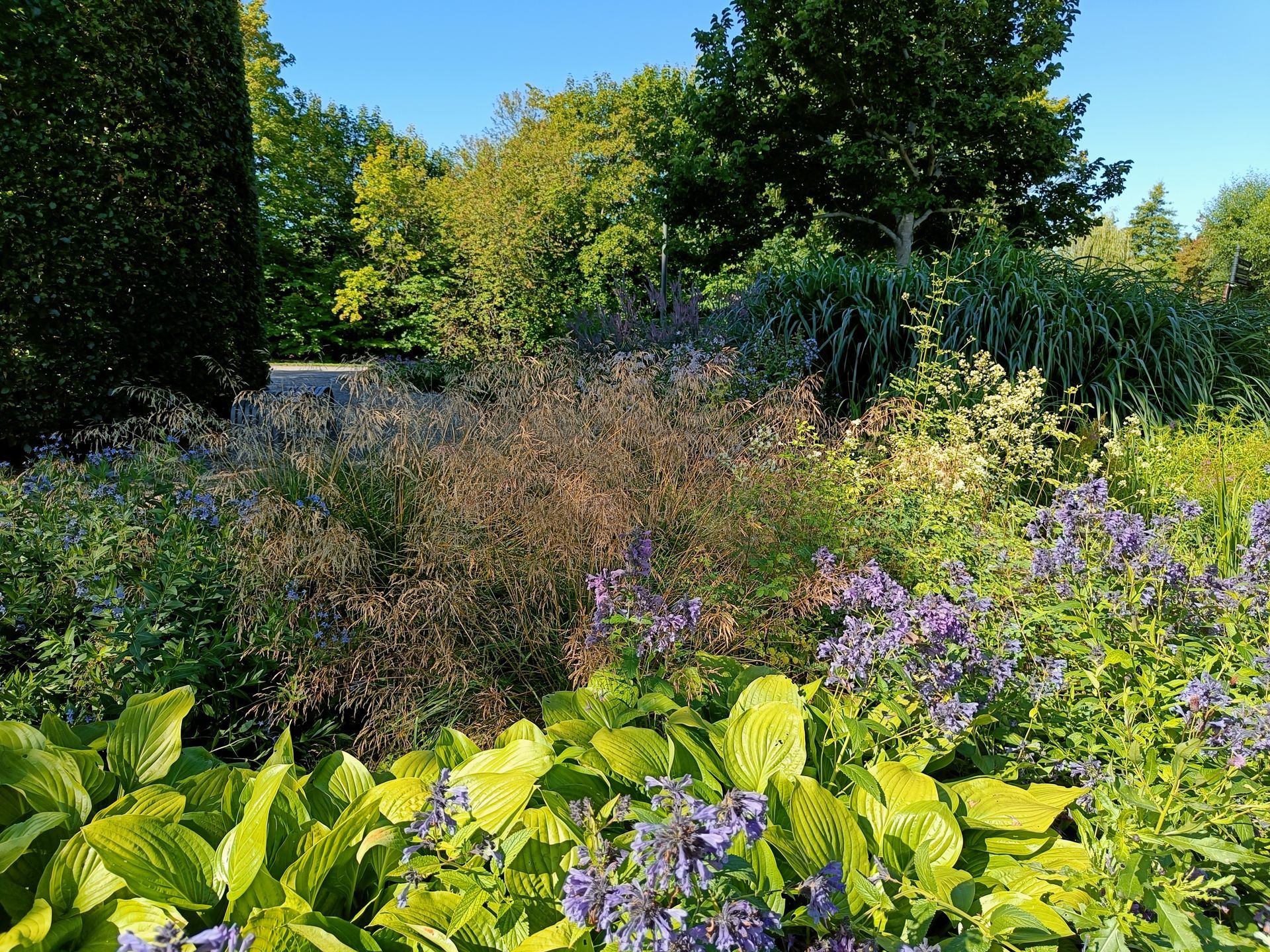 blandade planteringar med perenner, prydnadsgräs i Drömparken av Piet Oudolf, Enköping
