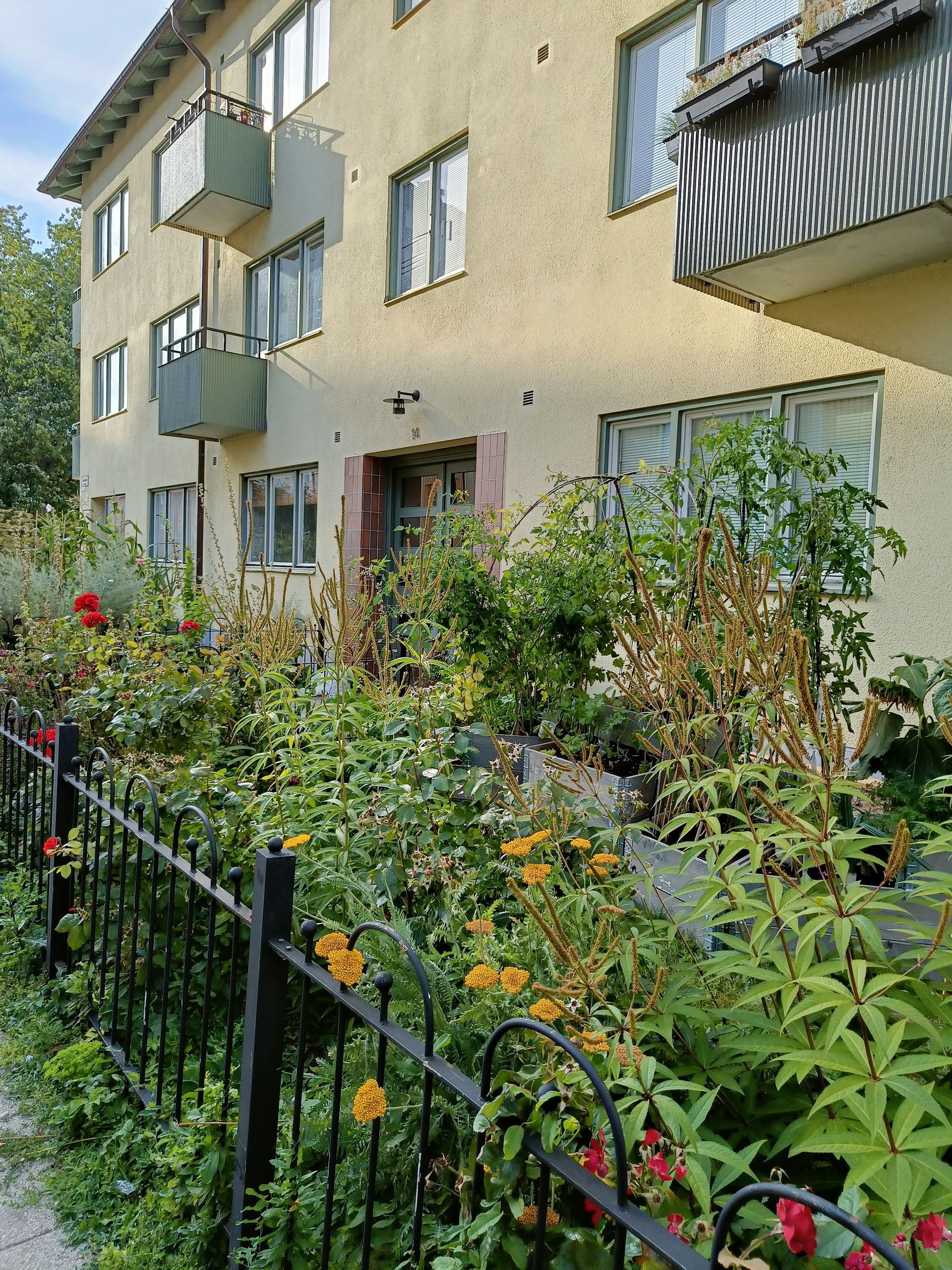 cottage-stil på framsidan av stadskvarter