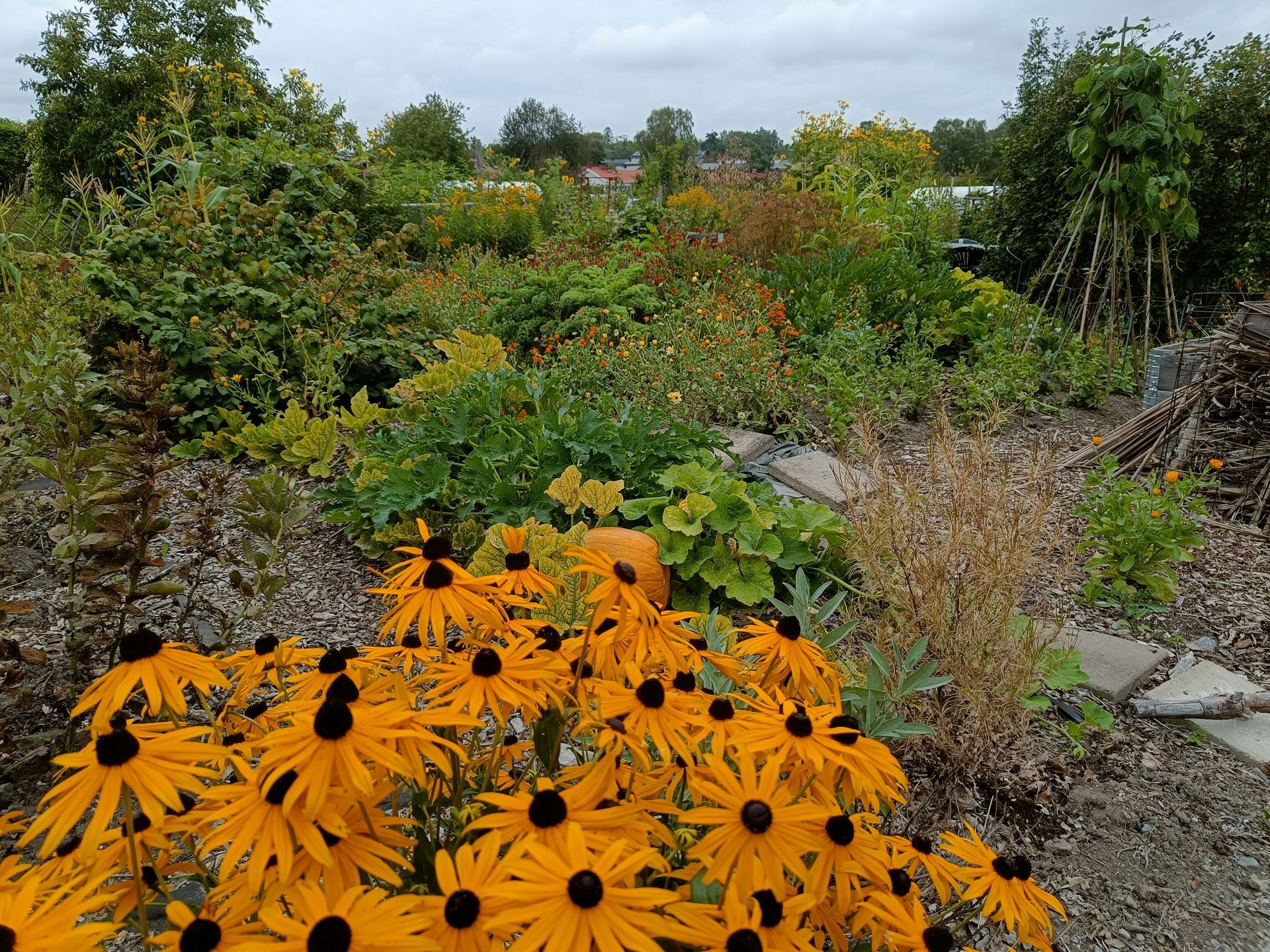 charmig blandning av nyttoväxter och blomsterprakt