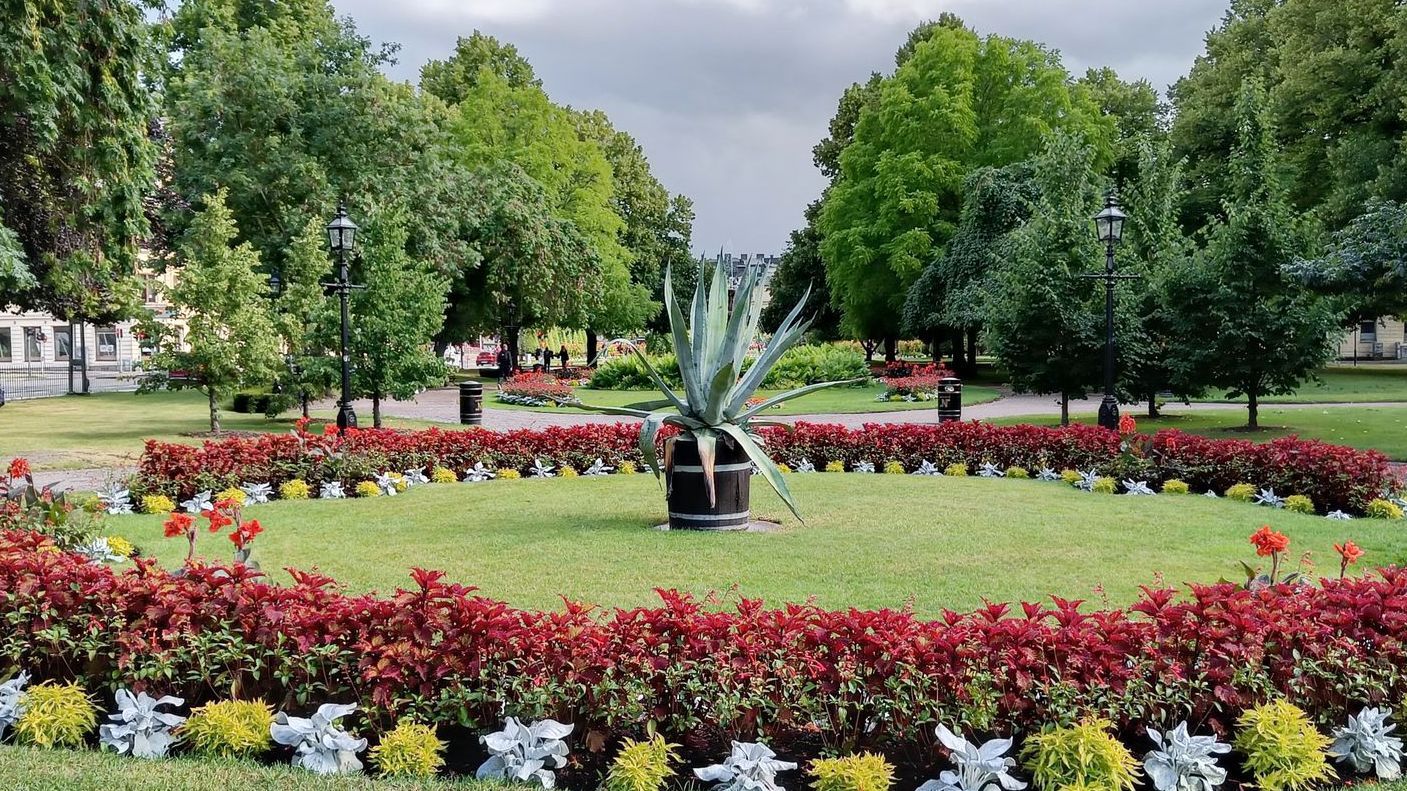 rundel av sommarblommor med en agave i en trätunna i mitten, Carl Johans park, Norrköping