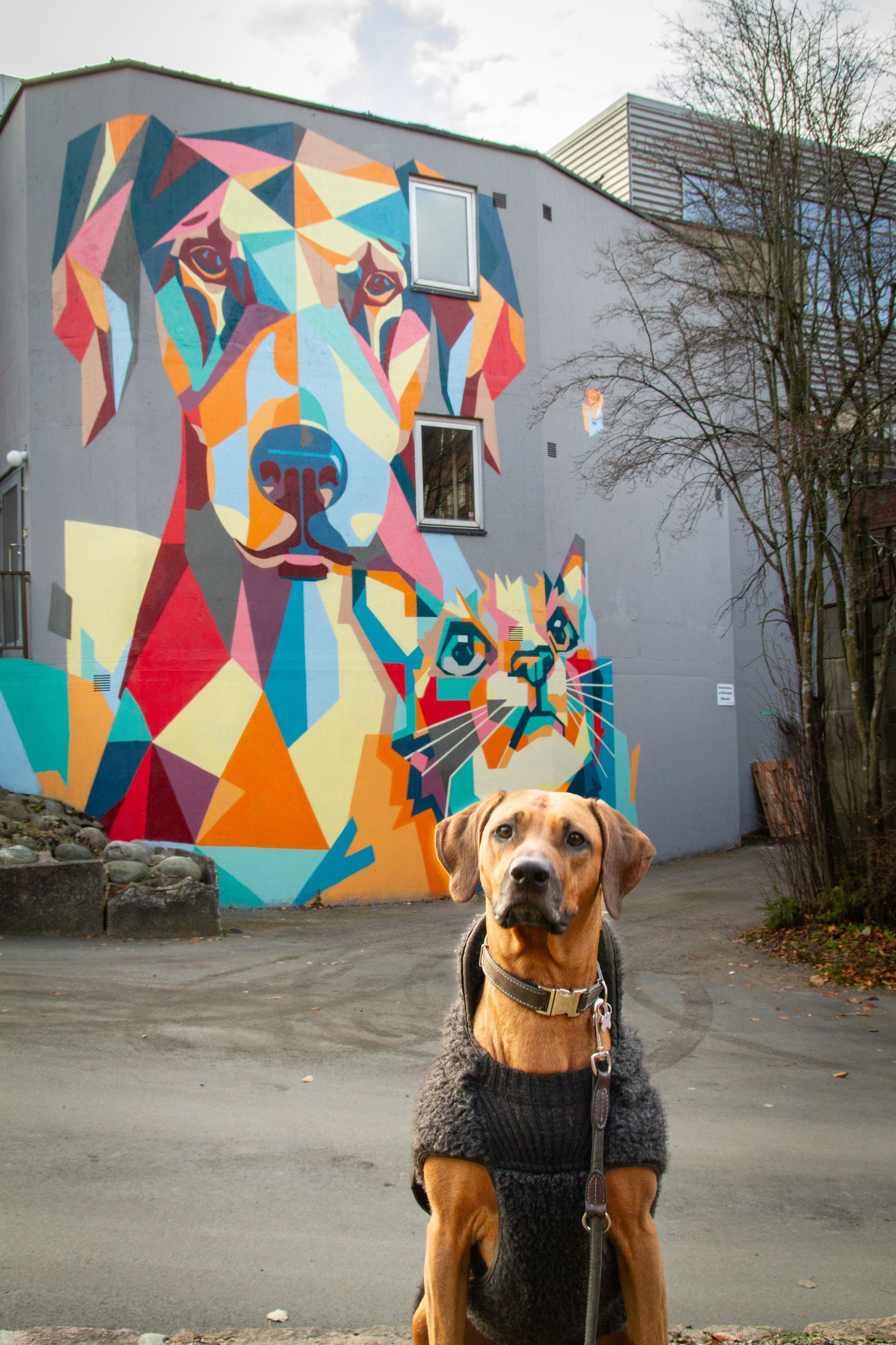muralmålning med stiliserad hund och katt
