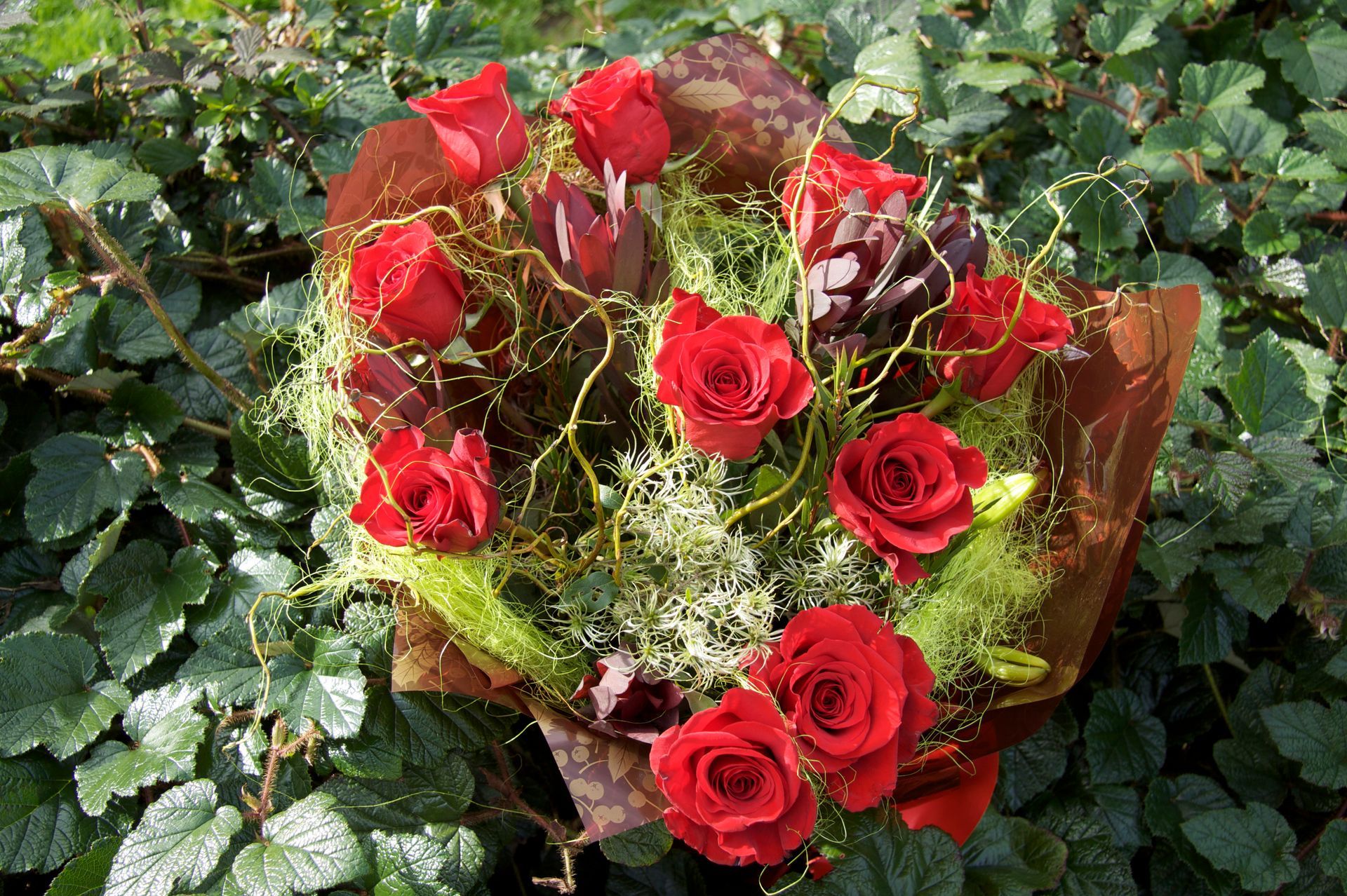 Riverside Flowers delivers fresh, beautiful blooms in Cornwall. Perfect for weddings, gifts, or simply adding colour and joy to your day.