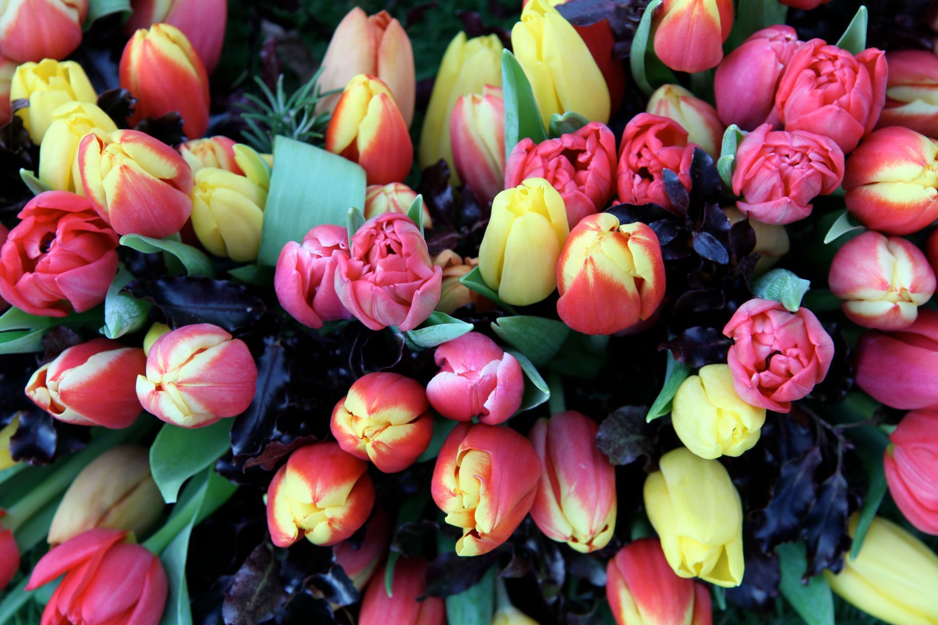 Riverside Flowers – Cornwall’s florist for vibrant, bespoke flower arrangements. Ideal for gifts, events, or brightening any space.