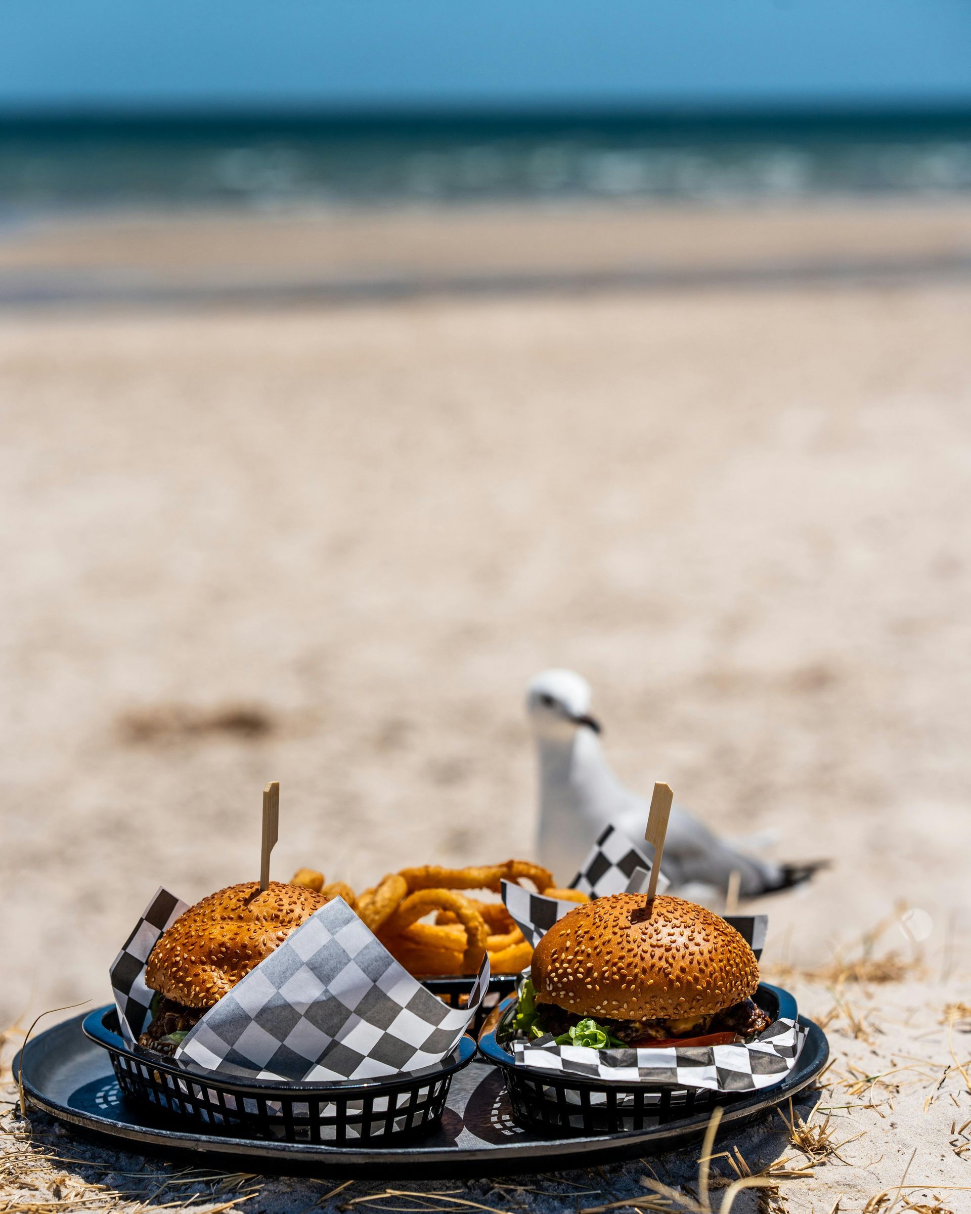 burgers-seagull-beach