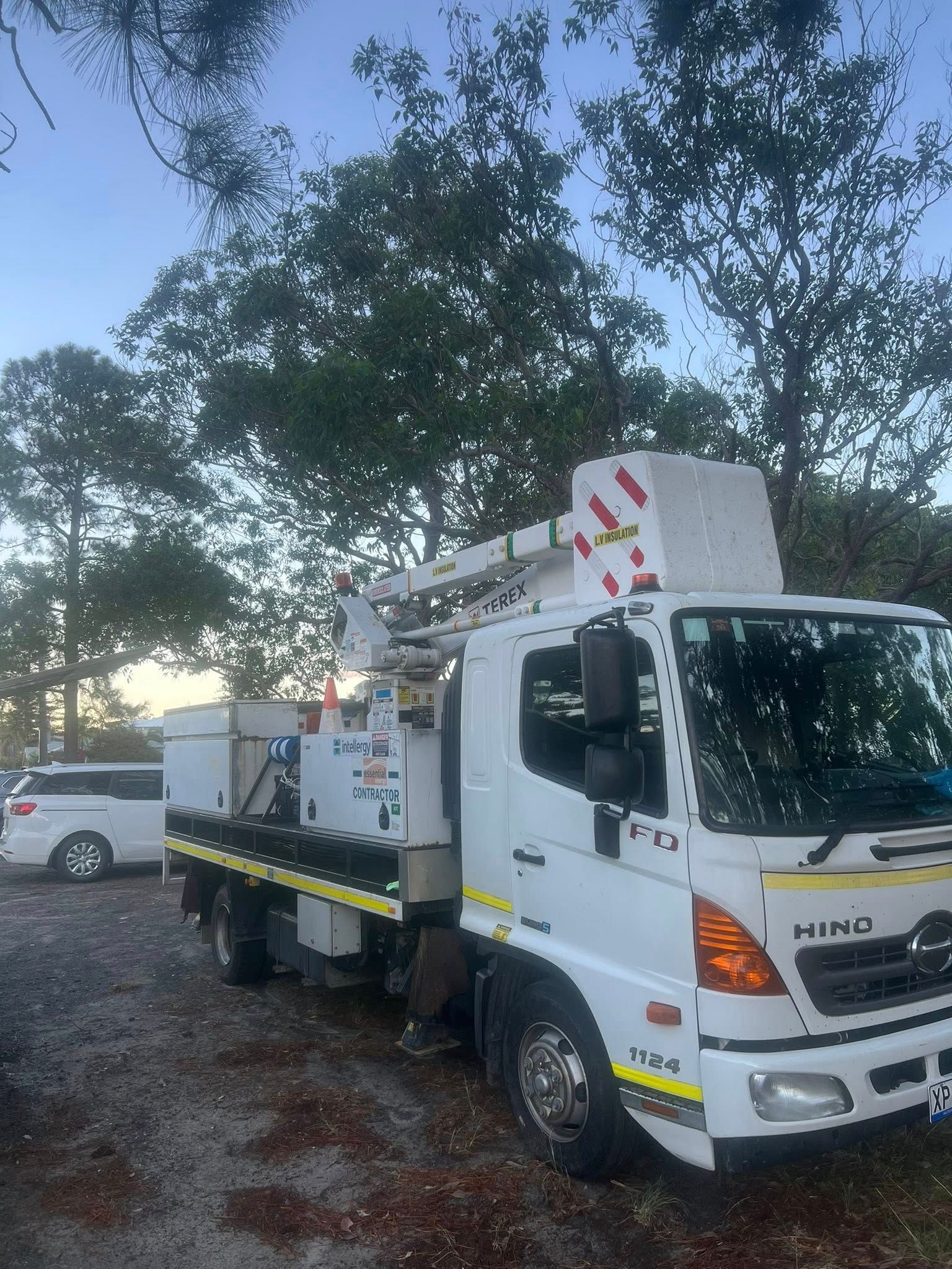 White Utility Truck Parked Under Trees at Dusk — North Coast Heavy Diesel In Wauchope, NSW