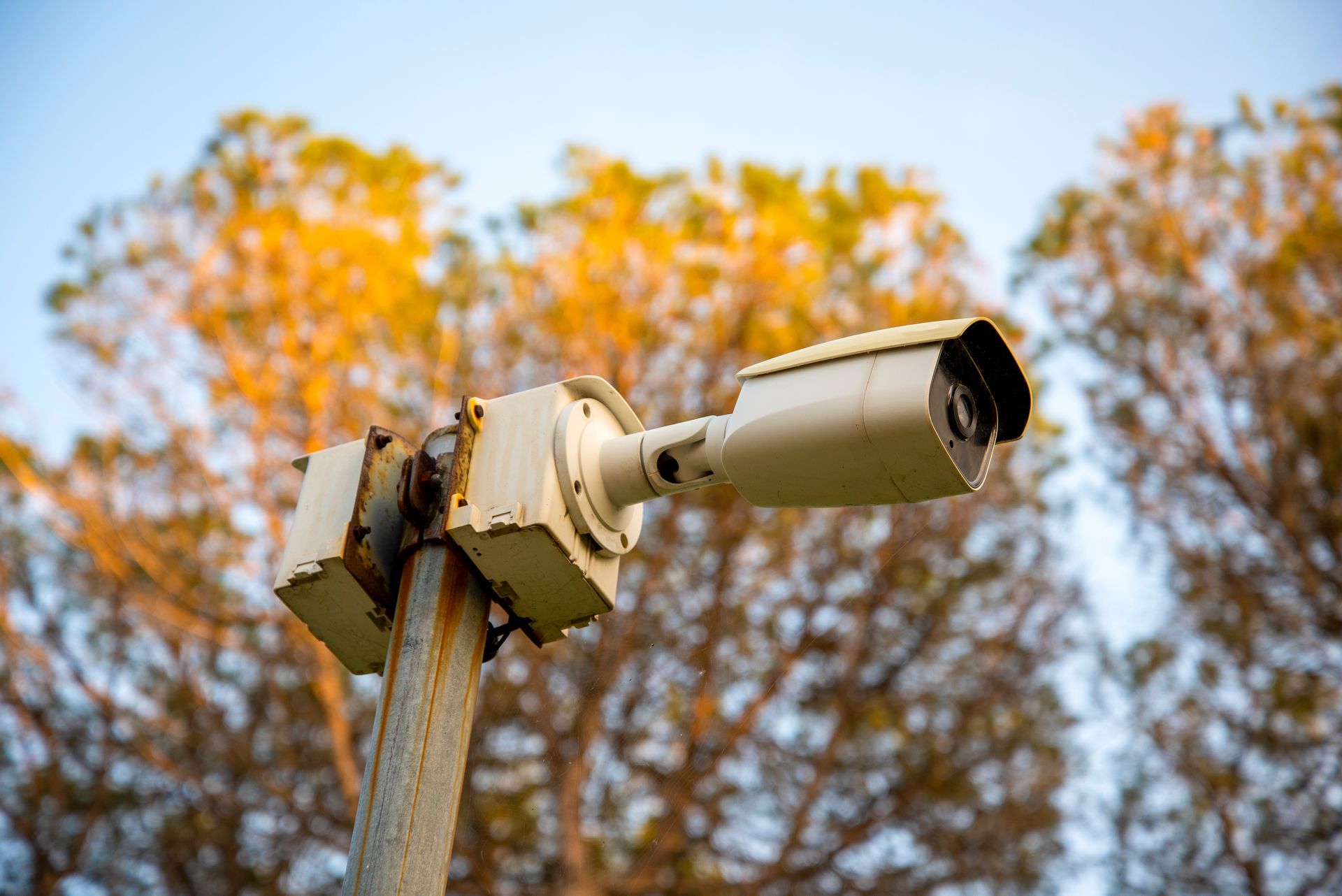 Camera Tower Service