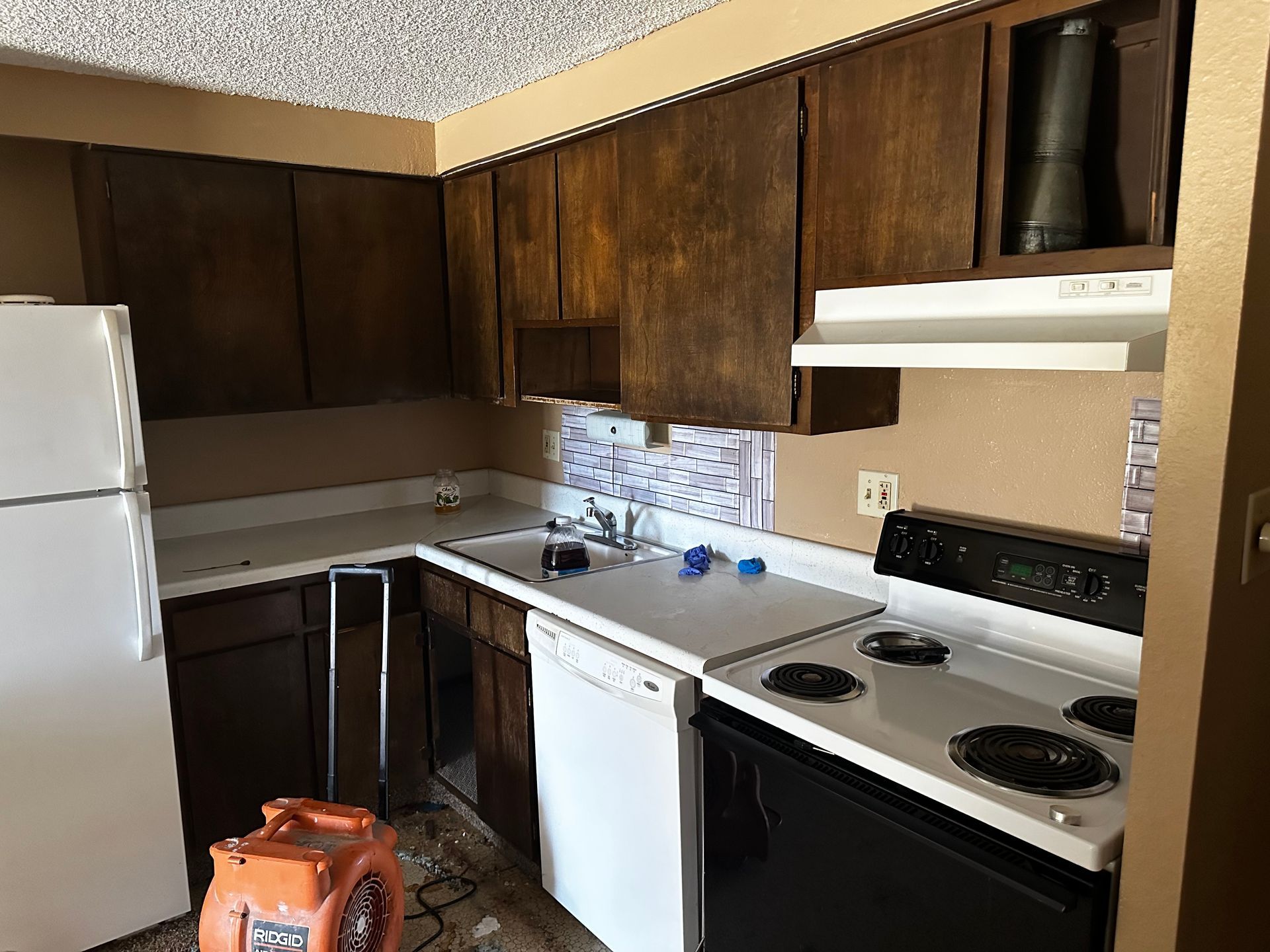 A kitchen with a refrigerator , stove , dishwasher , and sink.