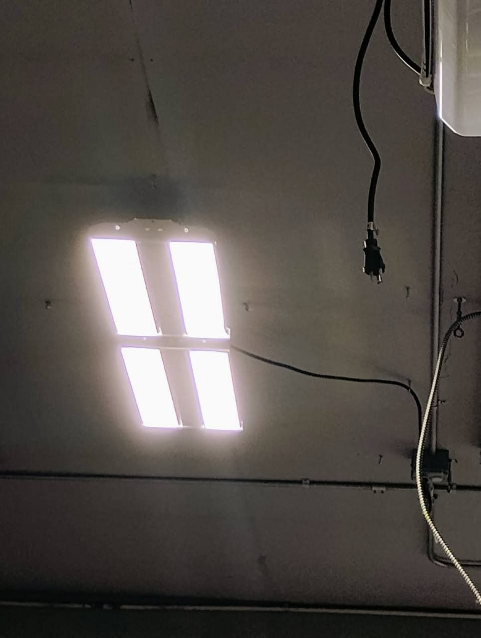 Ceiling with bright fluorescent light panels and hanging wires in an indoor room