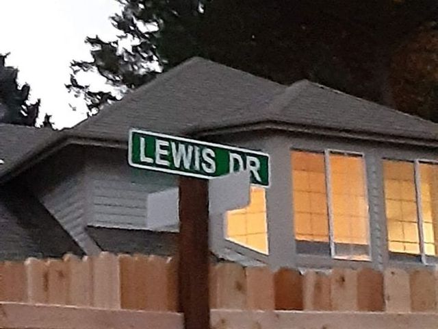 Green Lewis Dr street sign in front of a house and wooden fence at dusk