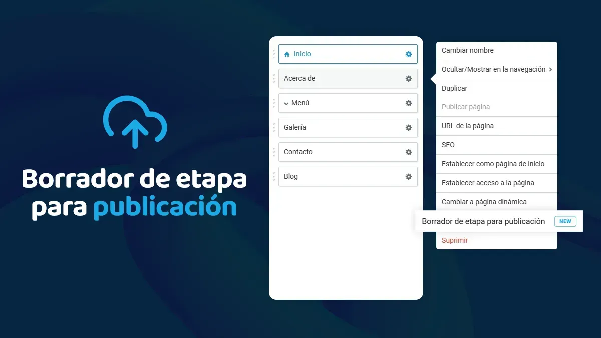 A screenshot of a app called borrador de etapa para publicacion.