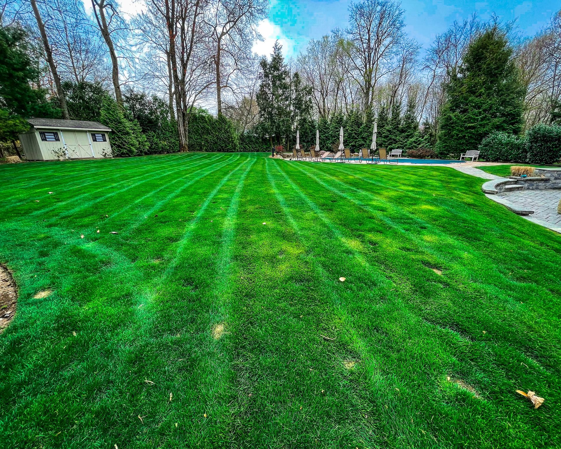 A bright green, freshly mowed lawn with visible stripe patterns, leading toward a shed and a pool area under blue skies.