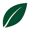 A simple, dark green leaf icon against a white background, featuring a thin, white diagonal line representing the vein.