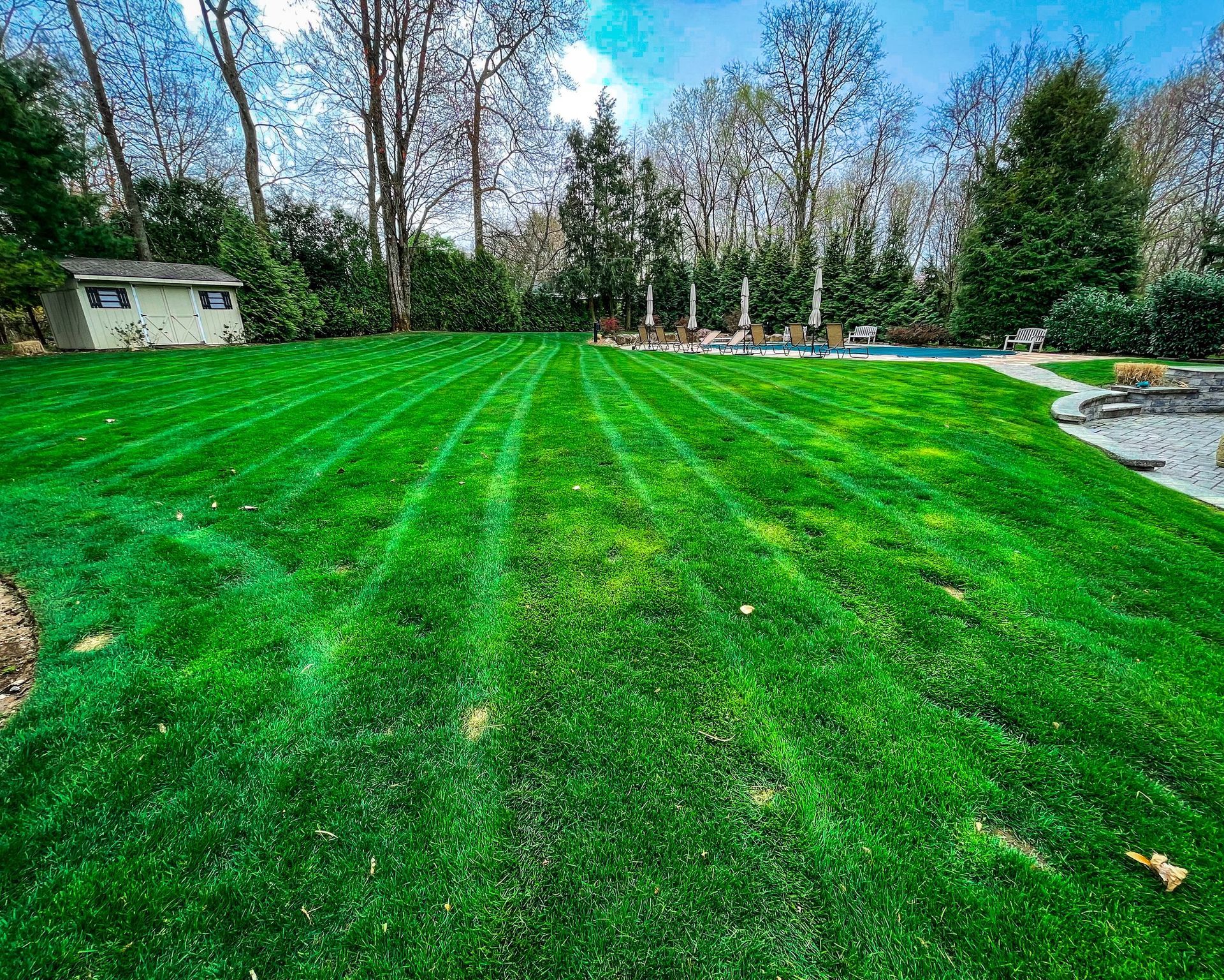 A lush, green backyard lawn with mowing stripes, a small white shed, and trees under a blue sky.