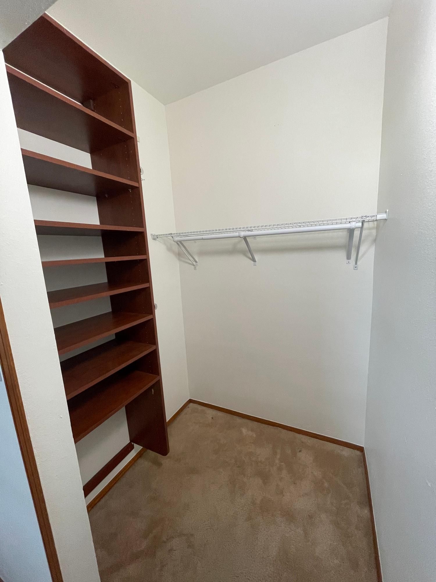 Empty closet with white walls, carpeted floor, and built-in wooden shelves and hanging rack
