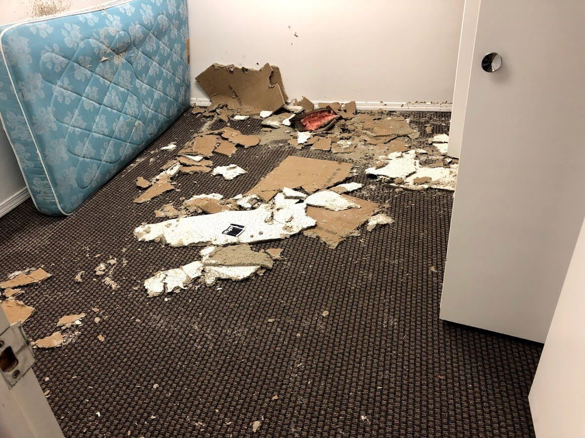A room with a mattress and cardboard on the floor.
