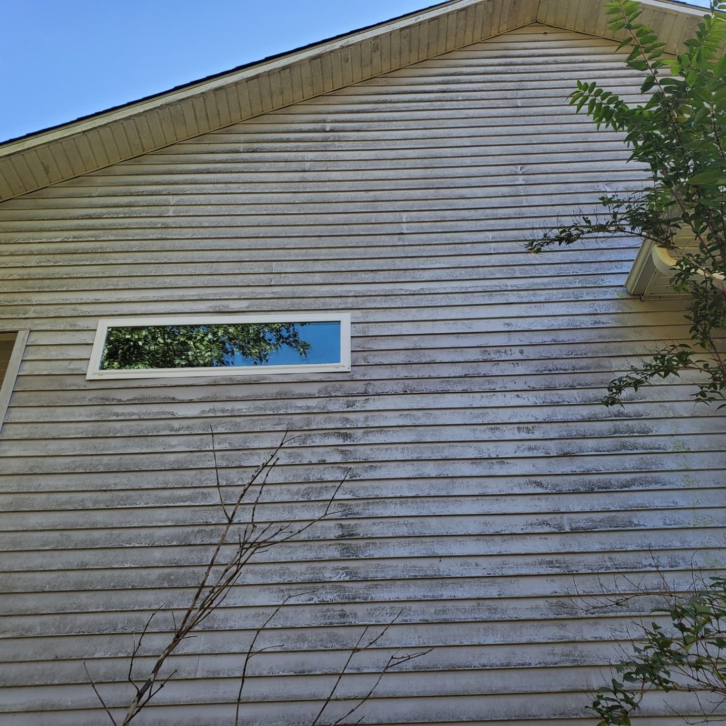 Weathered, horizontal wood siding on a house, with a rectangular window and a few tree branches.
