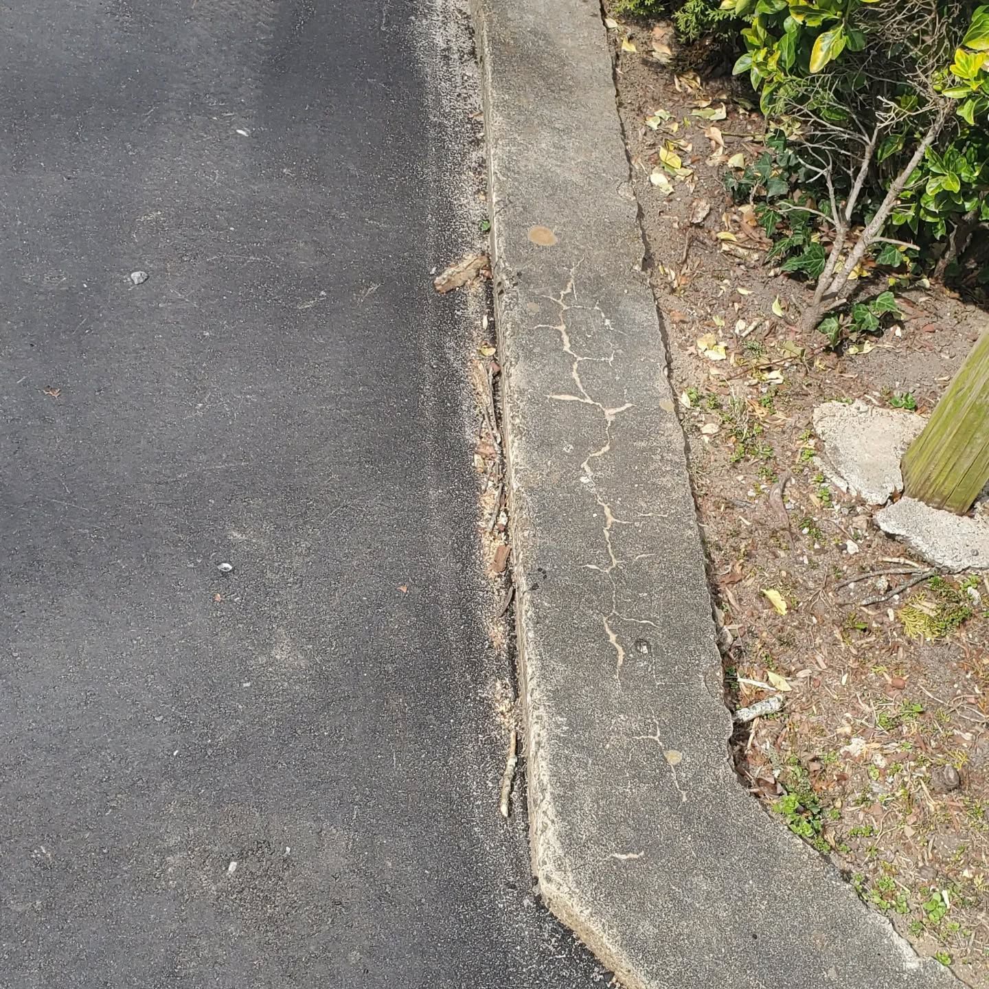 Asphalt surface meets cracked concrete curb with dry vegetation alongside.