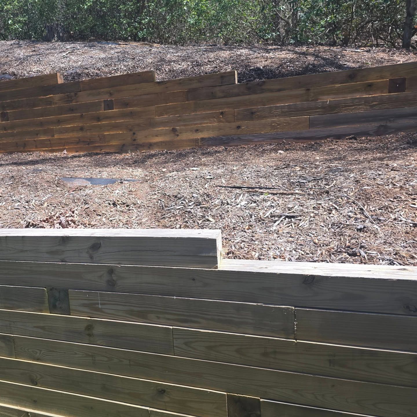 Wooden retaining walls built into a hillside, holding back dirt and supporting a forest.