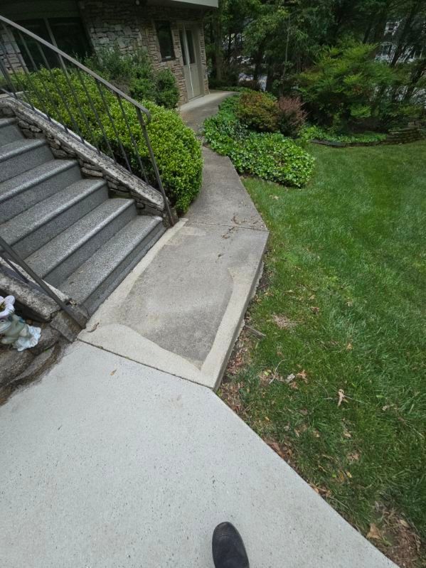 Concrete walkway and steps leading to a house, with green grass and shrubs nearby.