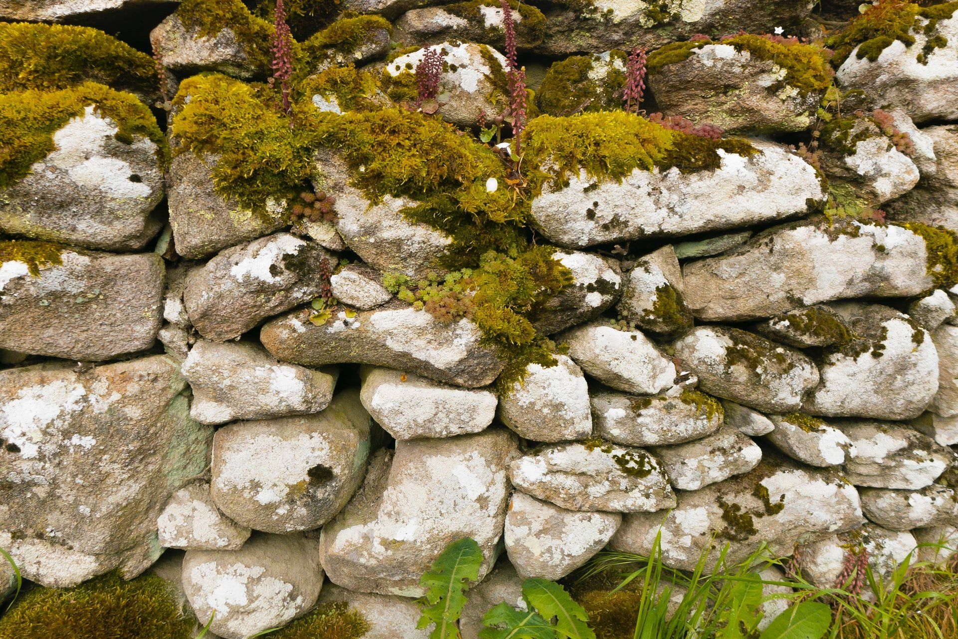 naturstein silikon für aussen