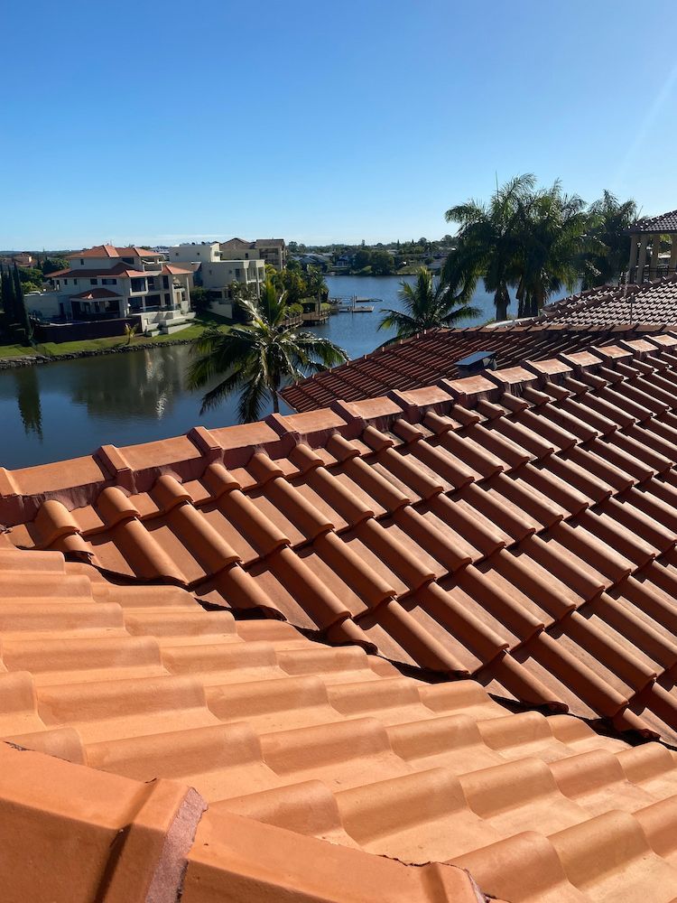 A Roof With a View of a Lake and Palm Trees — Killiby & Co Roofing Pty Ltd in Burleigh, QLD