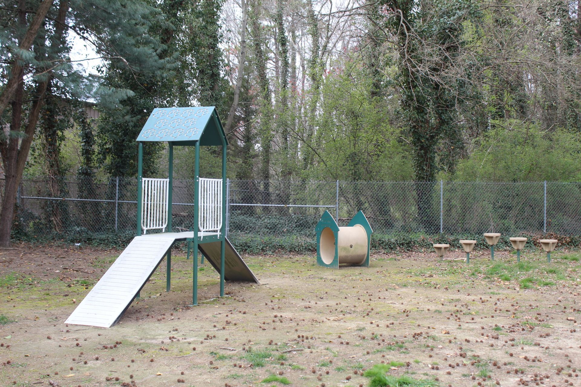 dog park