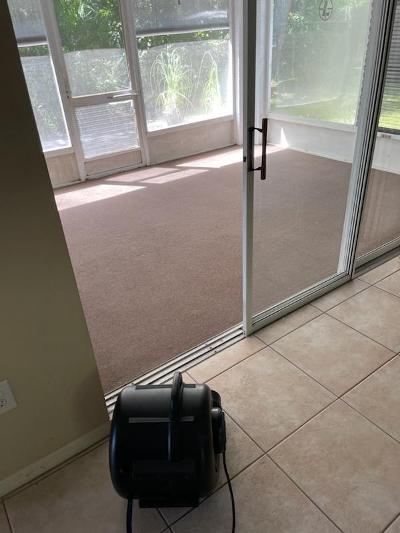 Black blower in front of a sunroom with beige carpet, sliding glass door, and tan tiled floor.