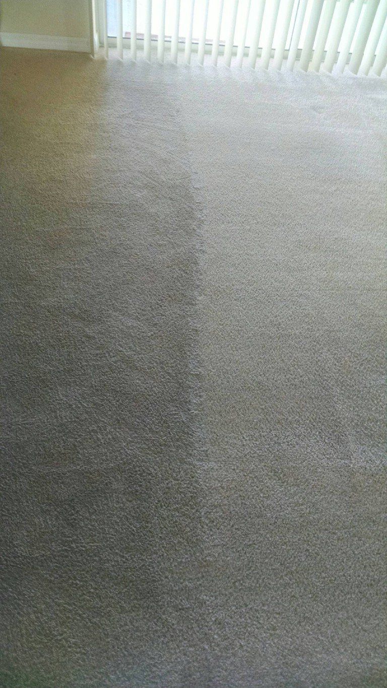 Cleaned carpet, showing a distinct contrast between cleaned and uncleaned areas, near a window with blinds.