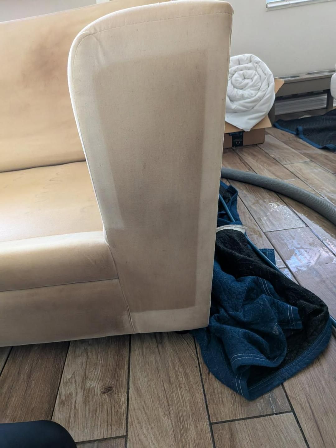 Tan sofa arm with a cleaned section, a blue towel, and a vacuum hose.