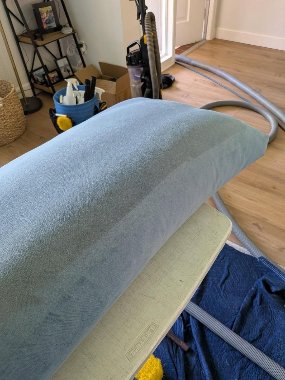 Carpet being cleaned; blue and light beige colors. Vacuum hose present.