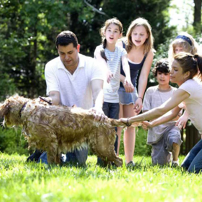Consulenza legale su pianificazione patrimoniale delle famiglie