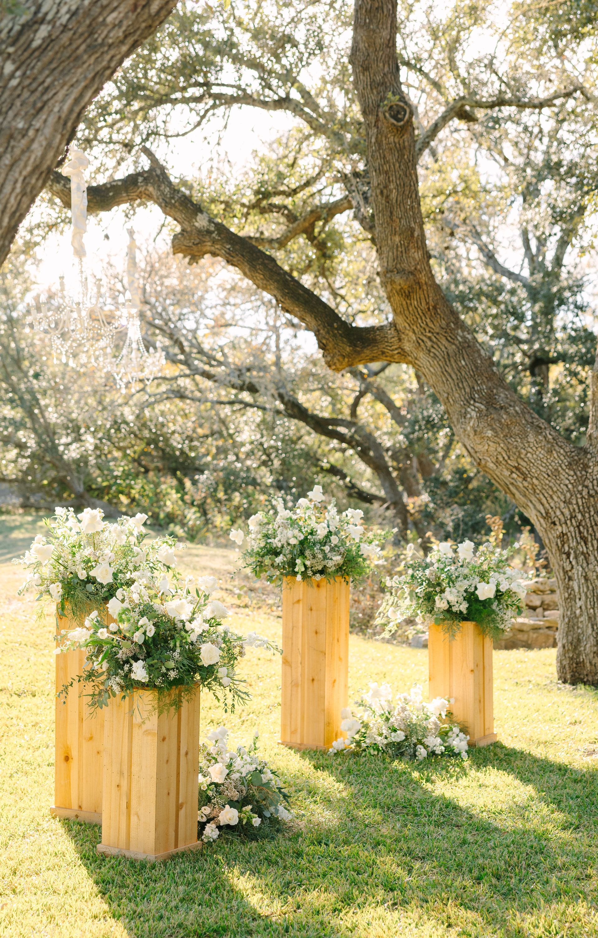 Outdoor wedding aisle with wooden flower pedestals under large trees in a sunlit garden