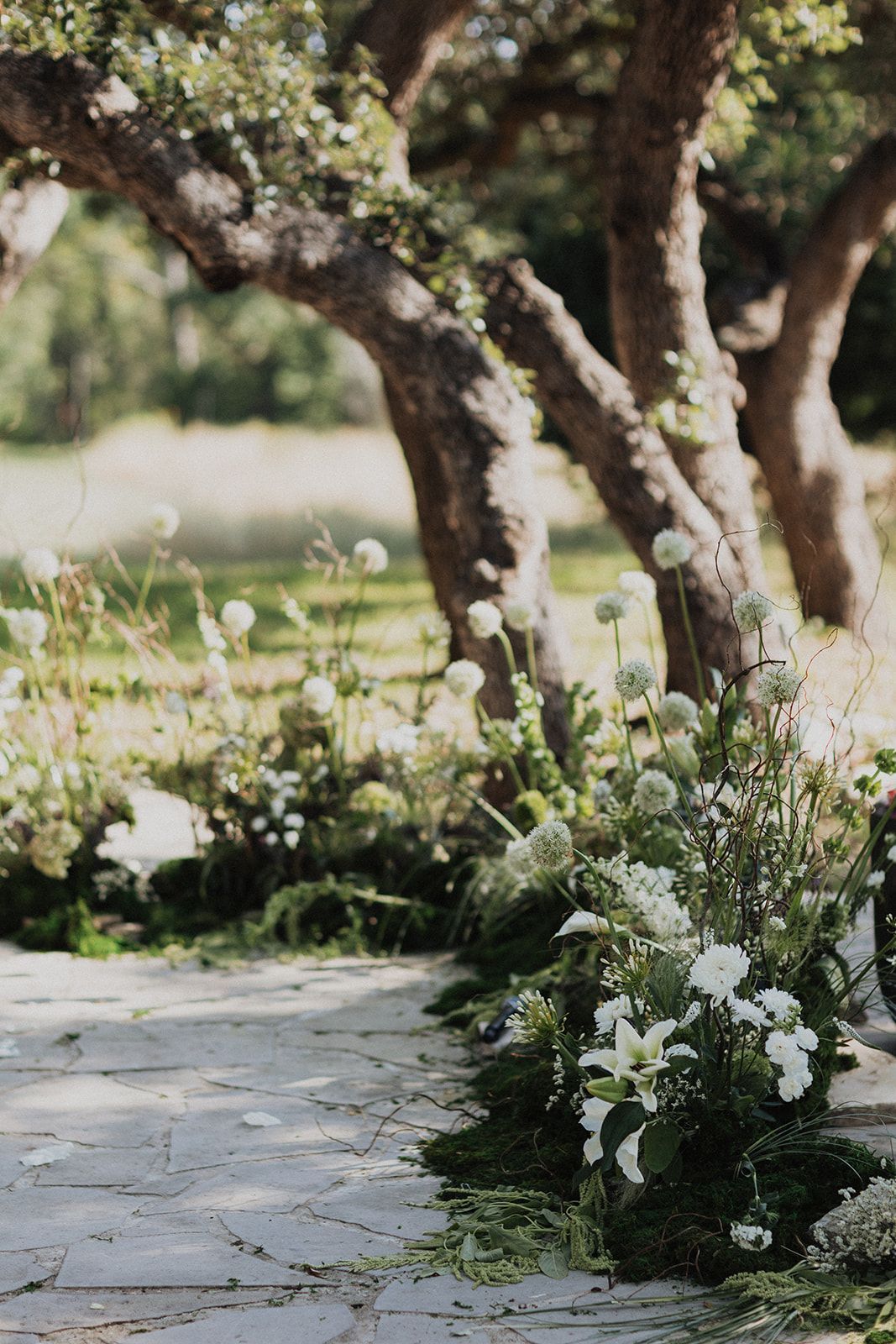 Garden path lined with white flowers and trees in soft sunlight