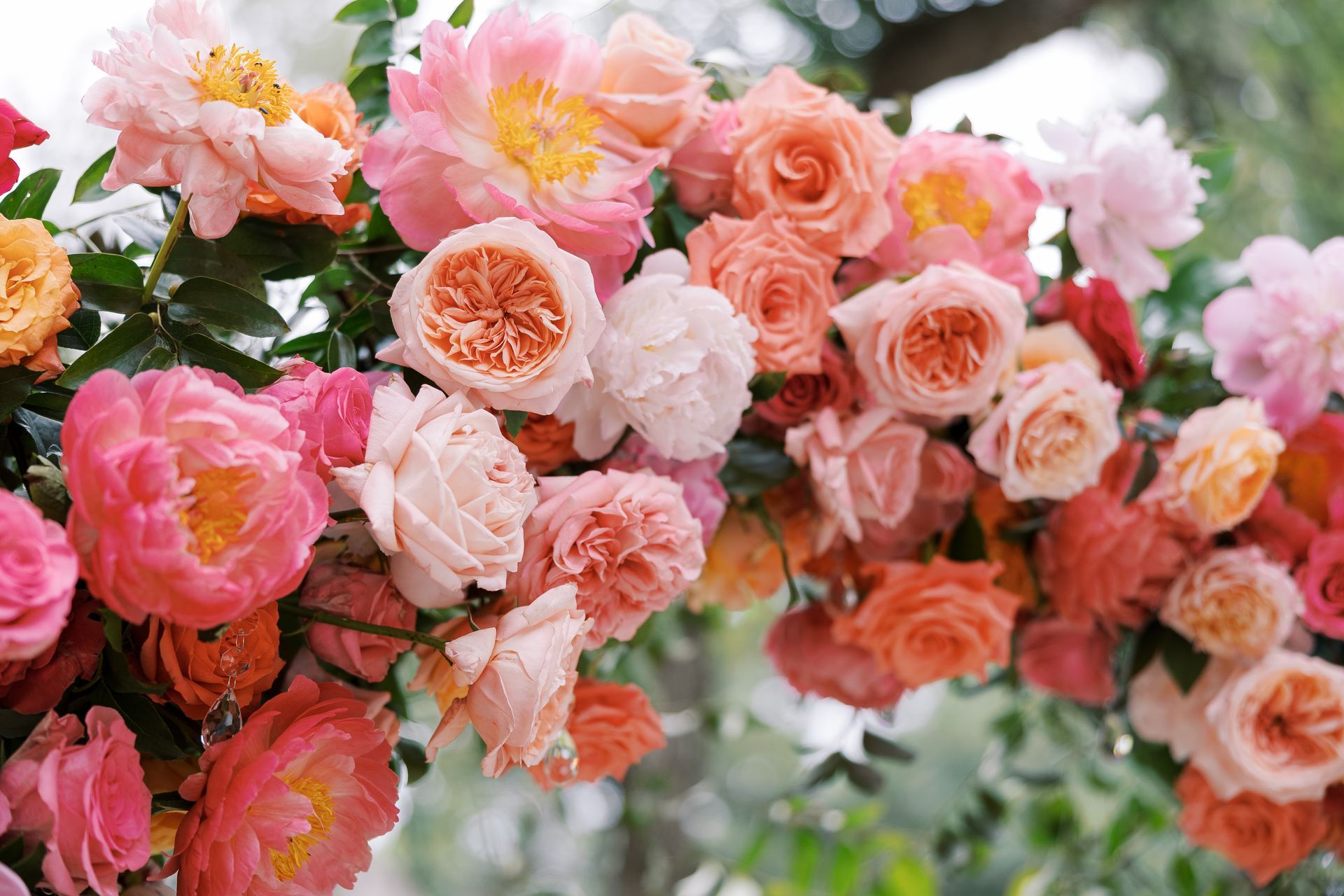 Pink and peach roses in full bloom on a dense flower arrangement